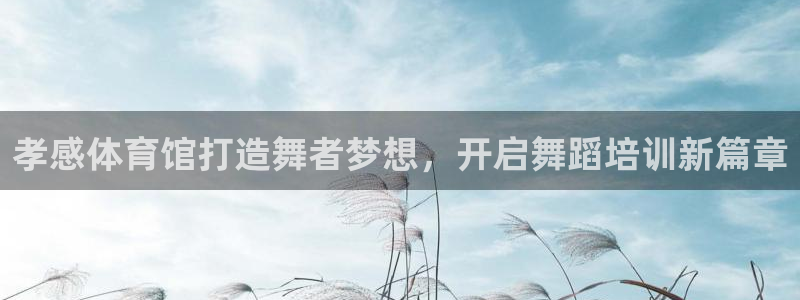 焦点娱乐平台怎么样知乎