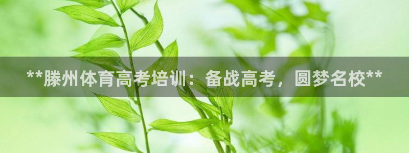 焦点娱乐是什么软件
