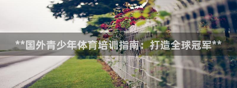 焦点娱乐股东：**国外青少年体育培训指南：打造全球冠