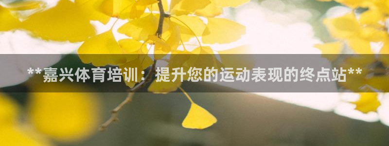 焦点娱乐如何注册账号的：**嘉兴体育培训：提升您的运
