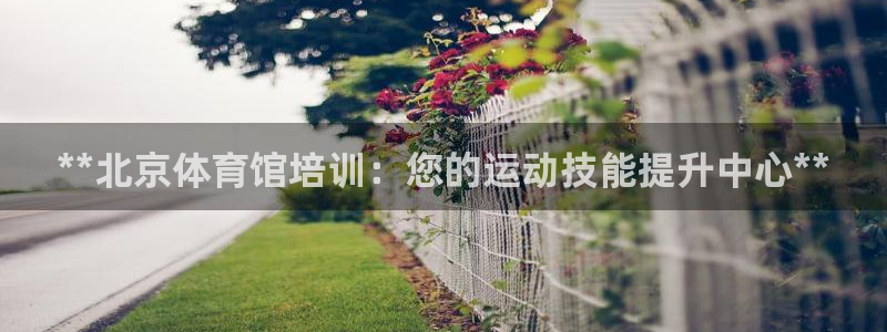 焦点娱乐软件版本下载