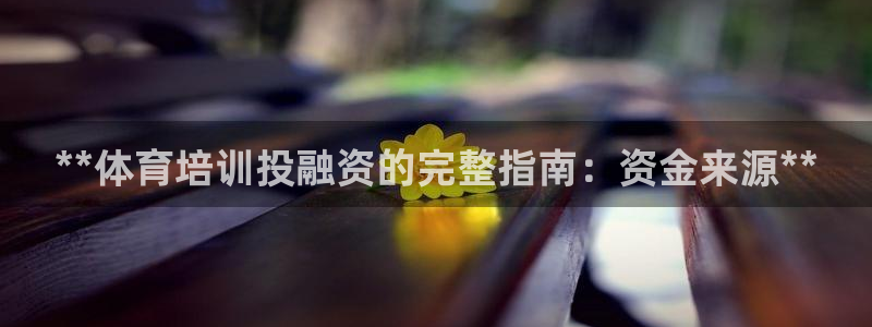 焦点娱乐简七O935最新版本更新内容