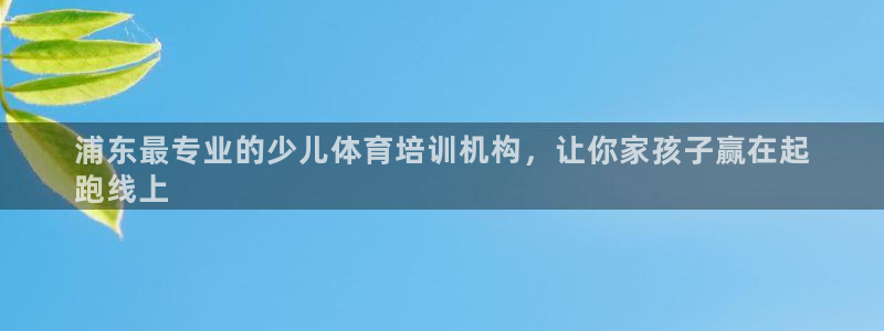 焦点娱乐公司简介怎么写：浦东最专业的少儿体育培训机构