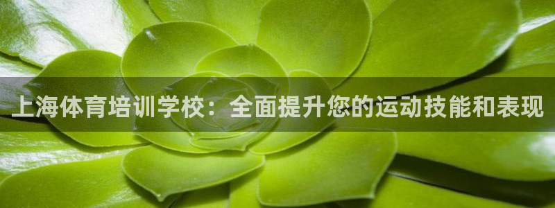 焦点娱乐平台客服电话人工服务：上海体育培训学校：全面
