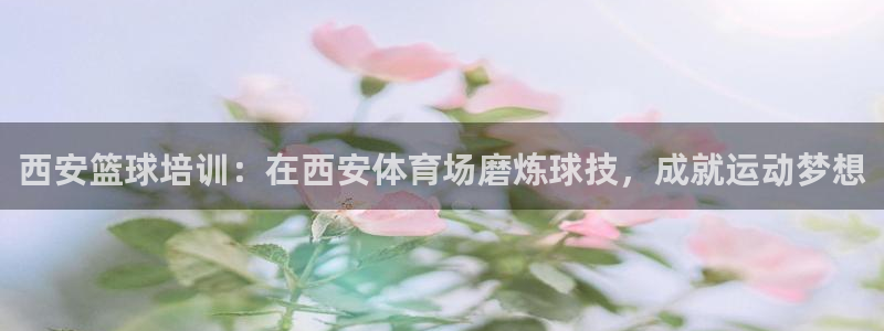 焦点娱乐是哪个公司的：西安篮球培训：在西安体育场磨炼球技，成