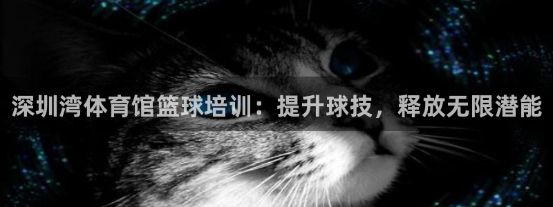 焦点娱乐平台注册账号：深圳湾体育馆篮球培训：提升球技