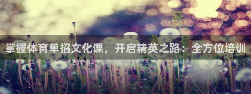 焦点娱乐怎么找导师：掌握体育单招文化课，开启精英之路