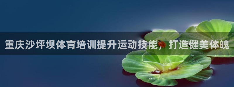焦点娱乐下载手机版：重庆沙坪坝体育培训提升运动技能，