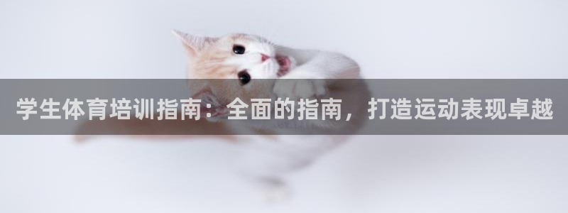 焦点娱乐平台客服热线号码
