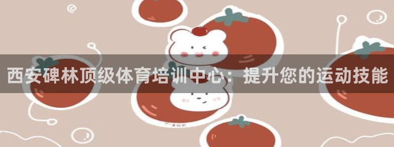 焦点娱乐官网下载安装手机版苹果：西安碑林顶级体育培训
