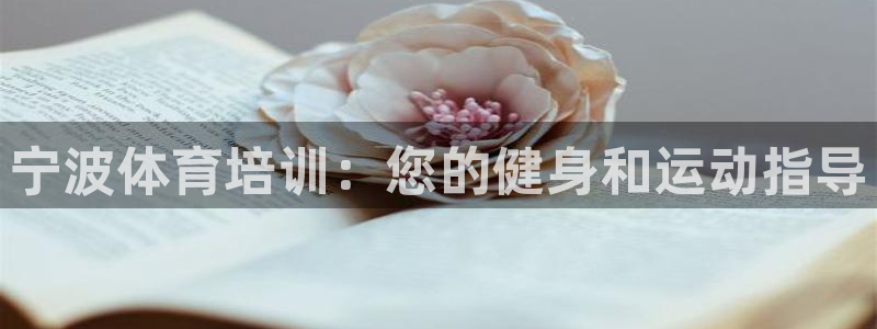 焦点娱乐会所：宁波体育培训：您的健身和运动指导