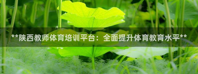 焦点娱乐说说怎么写：**陕西教师体育培训平台：全面提