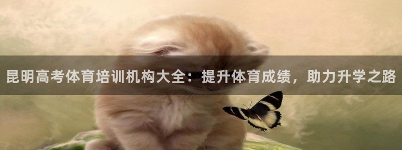 焦点娱乐官网下载安装最新版手机：昆明高考体育培训机构