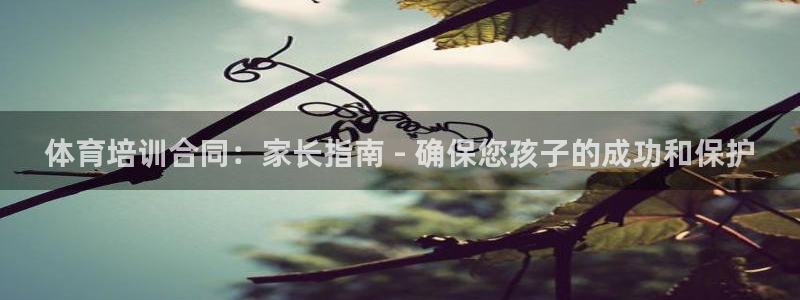 焦点娱乐平台业7O777：体育培训合同：家长指南 -