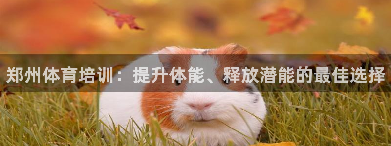 焦点娱乐app下载安装方式是什么