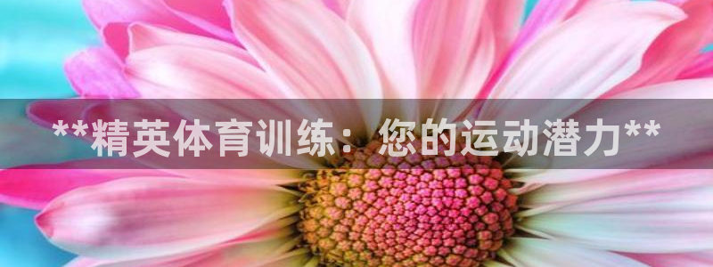 焦点娱乐官网下载安装最新版手机：**精英体育训练：您