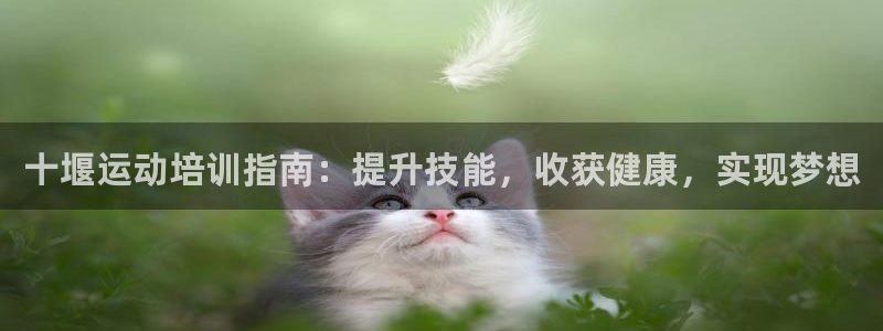 焦点娱乐如何注册账号的：十堰运动培训指南：提升技能，