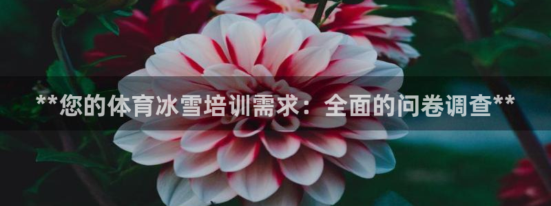 焦点娱乐平台怎么样：**您的体育冰雪培训需求：全面的