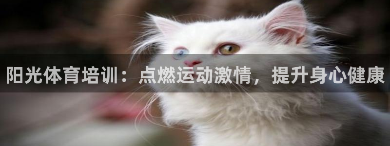 焦点娱乐游戏怎么玩视频：阳光体育培训：点燃运动激情，