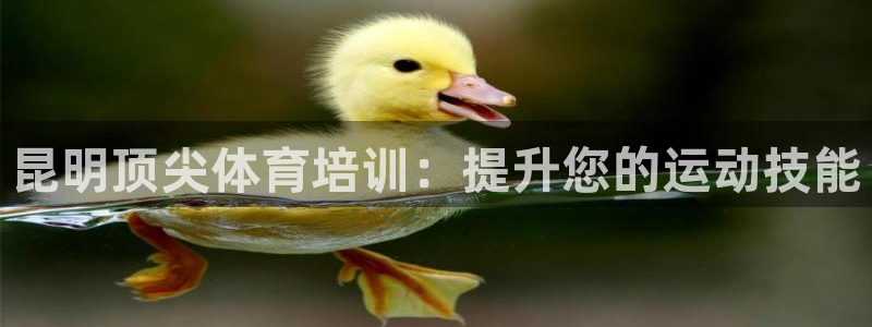 焦点娱乐拉菲11月12日：昆明顶尖体育培训：提升您的
