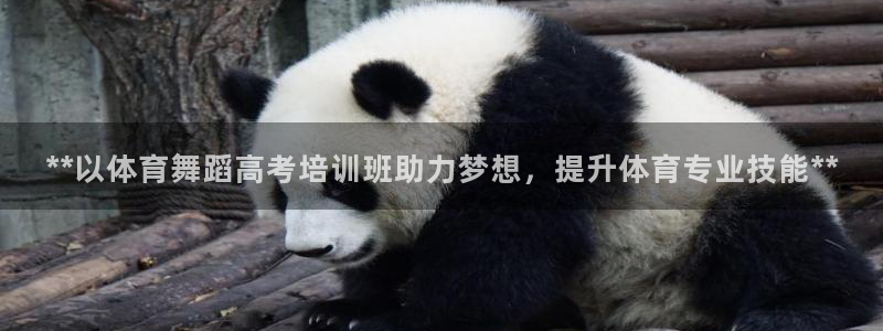 焦点娱乐App下载：**以体育舞蹈高考培训班助力梦想