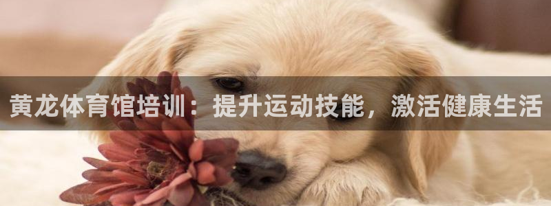 焦点娱乐讲7O777：黄龙体育馆培训：提升运动技能，