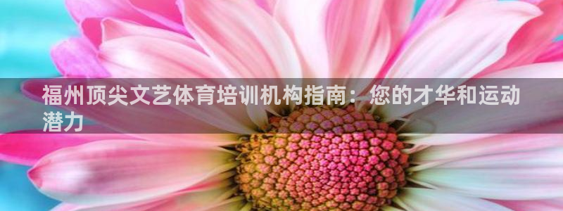 焦点娱乐app下载苹果版：福州顶尖文艺体育培训机构指南：您的