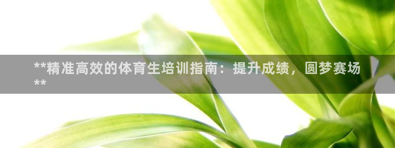 焦点娱乐陈江河