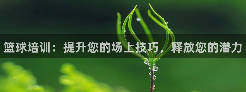 焦点娱乐app下载官网苹果手机