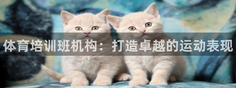 焦点娱乐平台总代理开户怎么样：体育培训班机构：打造卓