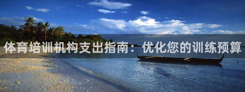 焦点娱乐公司的发展历程：体育培训机构支出指南：优化您的训练预