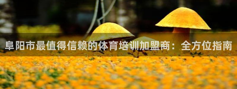 焦点娱乐说说文案：阜阳市最值得信赖的体育培训加盟商：全方位指