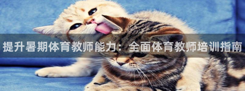 焦点娱乐传媒有限公司怎么样知乎招聘：提升暑期体育教师