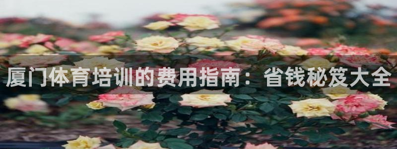 焦点娱乐app下载苹果版官网：厦门体育培训的费用指南：省钱秘