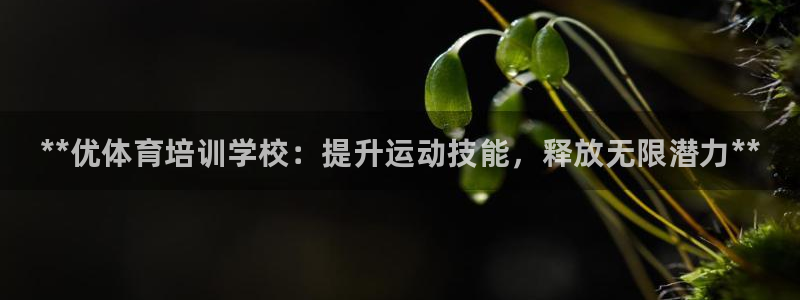 焦点娱乐门徒娱乐骗局曝光：**优体育培训学校：提升运动技能，