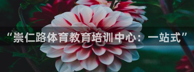 焦点娱乐官网下载安装苹果