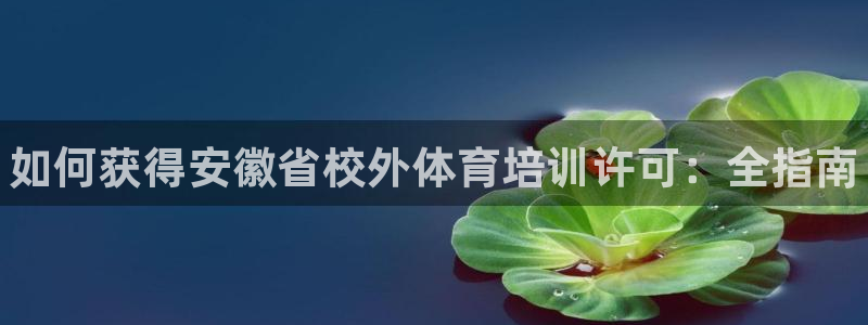 焦点娱乐官网下载安装最新版：如何获得安徽省校外体育培