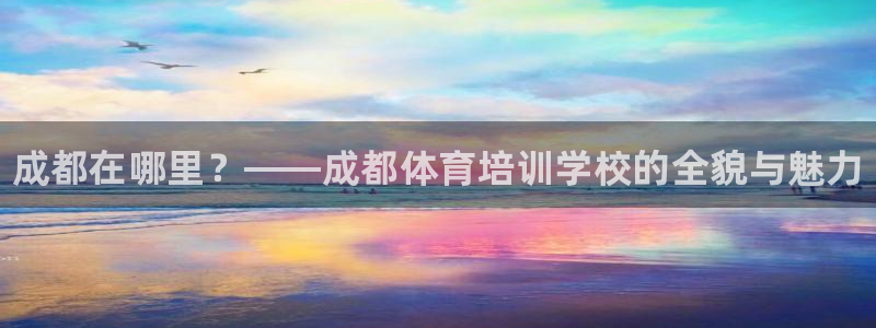 焦点娱乐加速器下载安装：成都在哪里？——成都体育培训学校的全