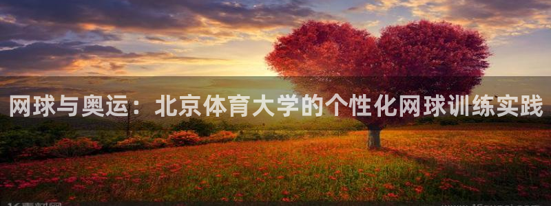 焦点娱乐平台客服热线号码：网球与奥运：北京体育大学的个性化网