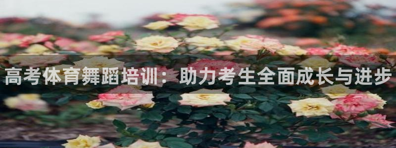 焦点娱乐平台总代理开户：高考体育舞蹈培训：助力考生全面成长与