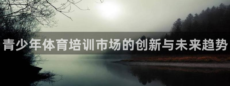 焦点娱乐如何注册账号和密码：青少年体育培训市场的创新与未来趋