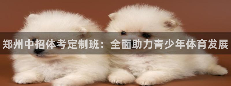 焦点娱乐传媒有限公司招聘要求：郑州中招体考定制班：全