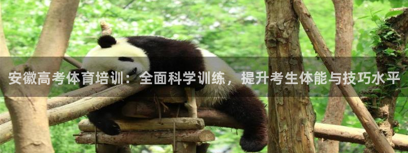 焦点娱乐传媒有限公司怎么样知乎：安徽高考体育培训：全面科学训