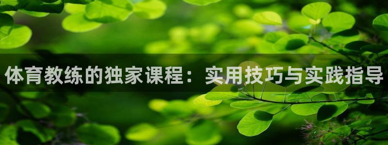 焦点娱乐跨服：体育教练的独家课程：实用技巧与实践指导