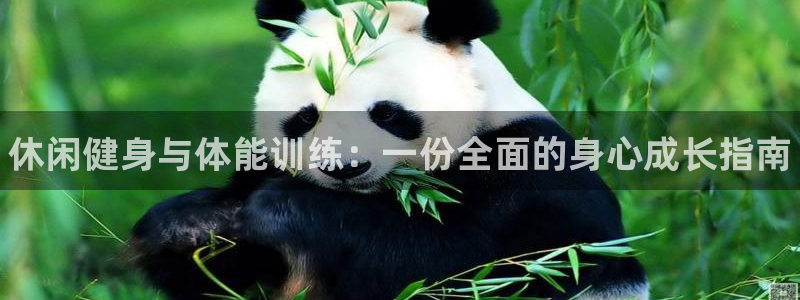 焦点娱乐全国总冠军有哪些：休闲健身与体能训练：一份全面的身心