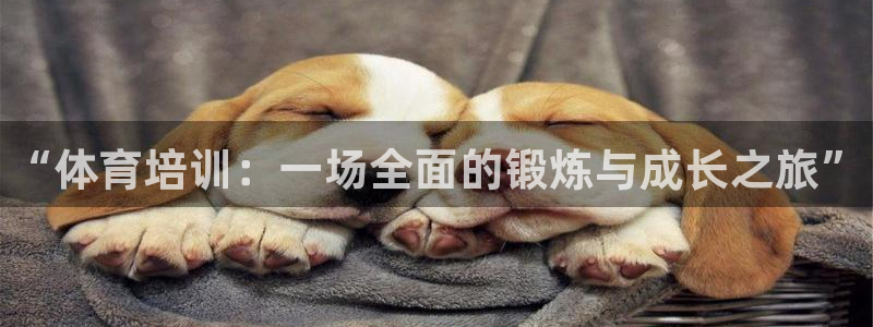 焦点娱乐官网：“体育培训：一场全面的锻炼与成长之旅”