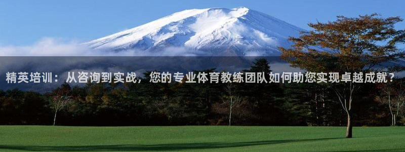 焦点娱乐直属：精英培训：从咨询到实战，您的专业体育教