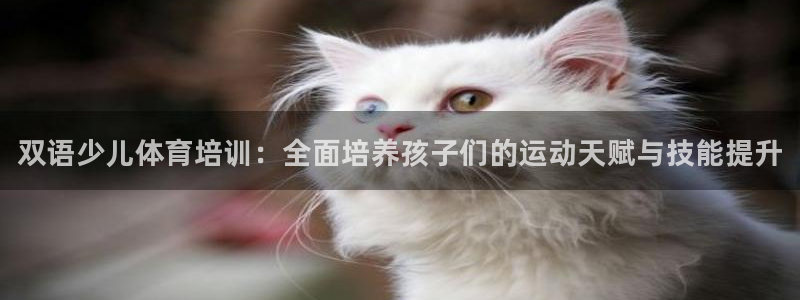 焦点娱乐平台供7O777：双语少儿体育培训：全面培养